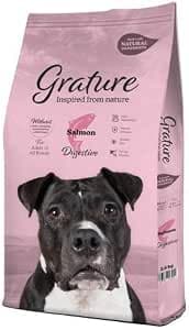 Pienso de Salmón para Perros Adultos | Ingredientes Naturales | Libre de GMO | Carne como Primer Ingrediente | Gran Sabor, 12 Kg