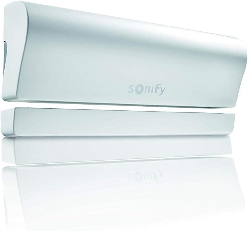 Somfy 2401362 Detector de Apertura, Blanco y Gris