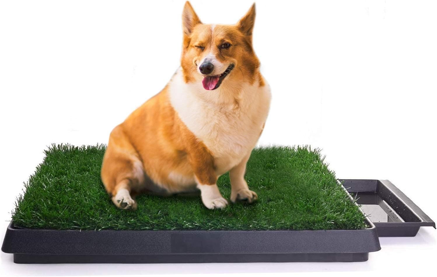Sailnovo Inodoro para Perros de 63 x 50 cm, Inodoro para Cachorros, Almohadilla de Entrenamiento para Perros pequeños, Grandes y Mayores - Inodoro para Mascotas