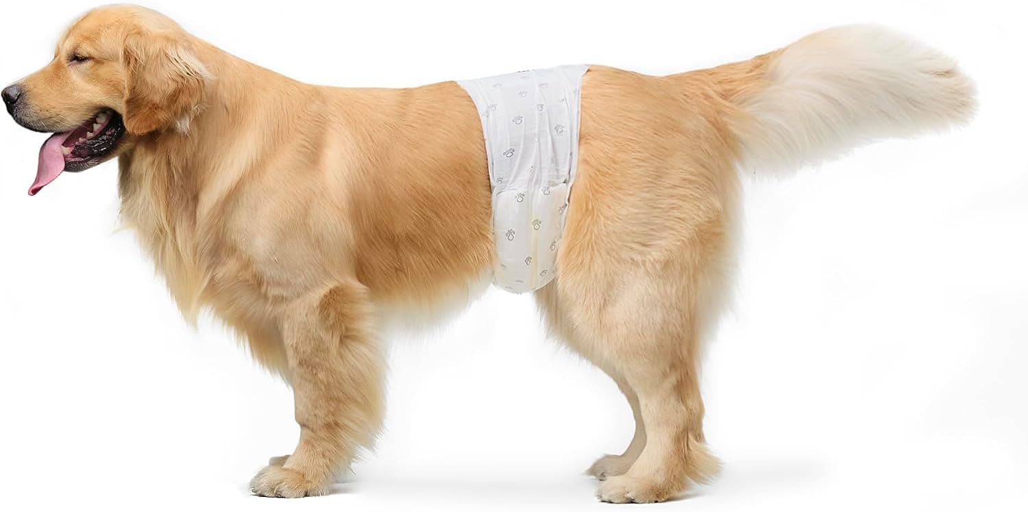 Amazon Basics Pañales Desechables para Perros Macho, S, Paquete de 50, Color Blanco