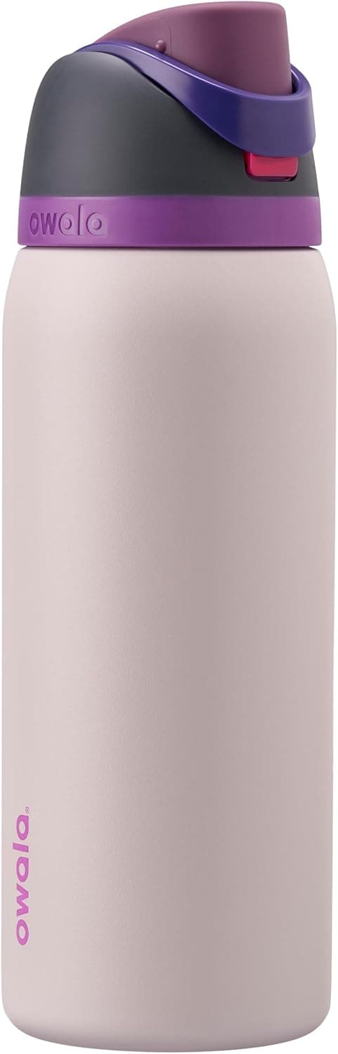 Owala FreeSip - Stainless Steel - 32-oz. - Grey/Purple (Dreamy Field) (Amazon)