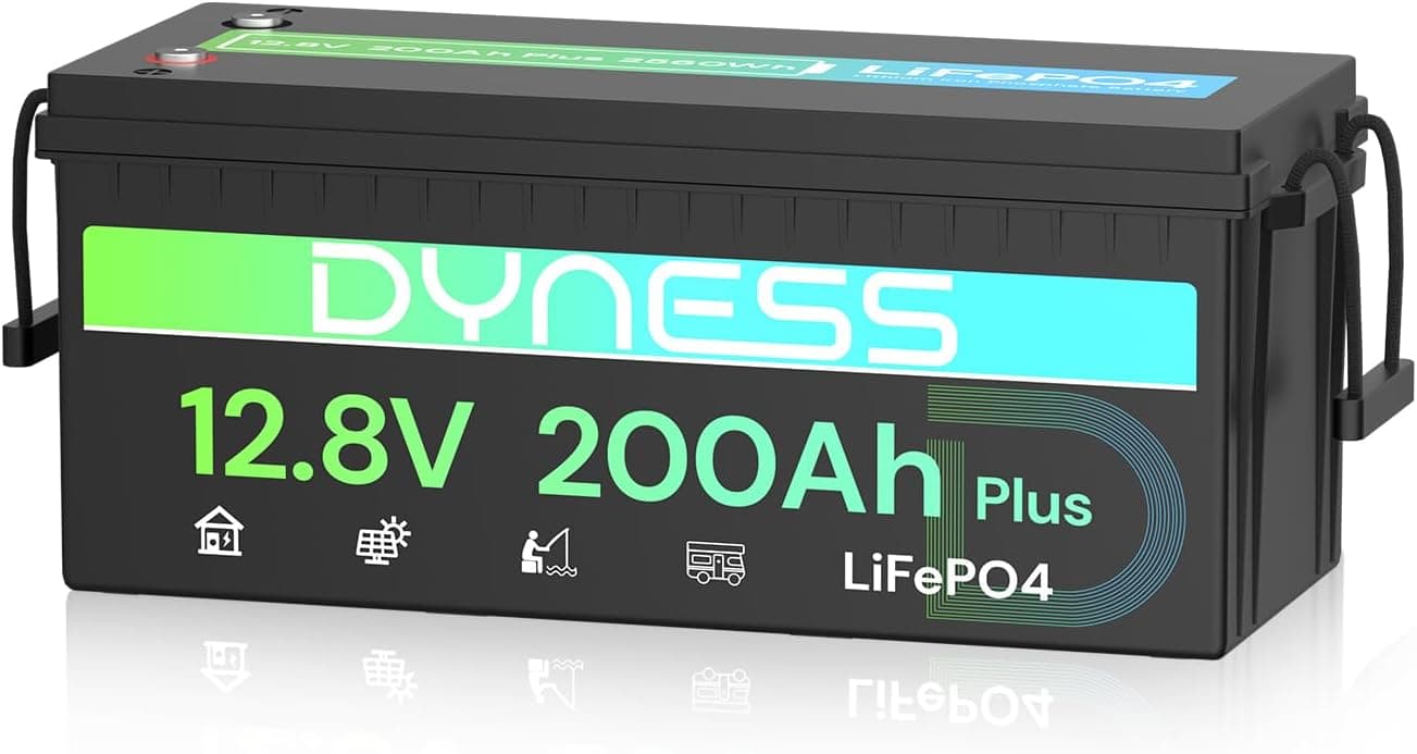 Dyness LiFePO4 Batería de Litio 12V 200Ah con BMS de 200A y Protección contra Bajas Temperaturas, 2560Wh para Ciclo Profundo en Marina/RV, Ideal para Solar, Overland/Furgonetas y Fuera de la Red