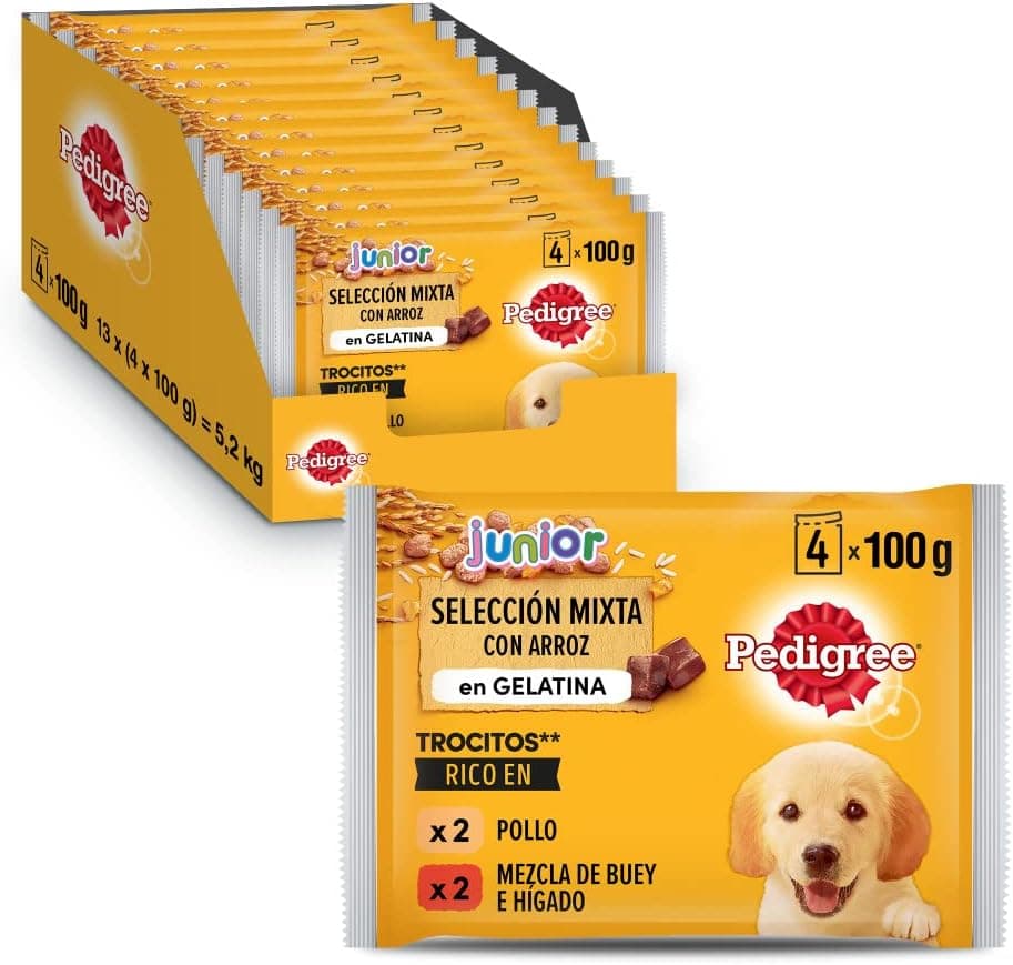 Pedigree Comida húmeda para Perros Junior, Sabor Pollo y Buey con Arroz en Gelatina, Multipack (13 Packs x 4 bolsitas x 100g)