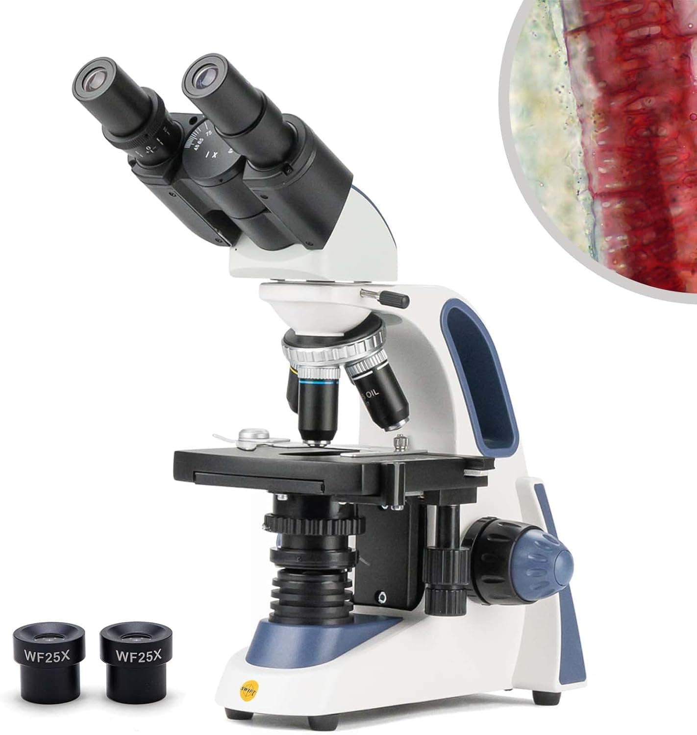 Swift microscopio Compuesto Binocular SW380B 40X-2500X ampliación, Cabeza Siedentopf, Grado de investigación, Ocular de Campo Amplio 10X y 25X, Condensador Abbe, Enfoque Ultra preciso