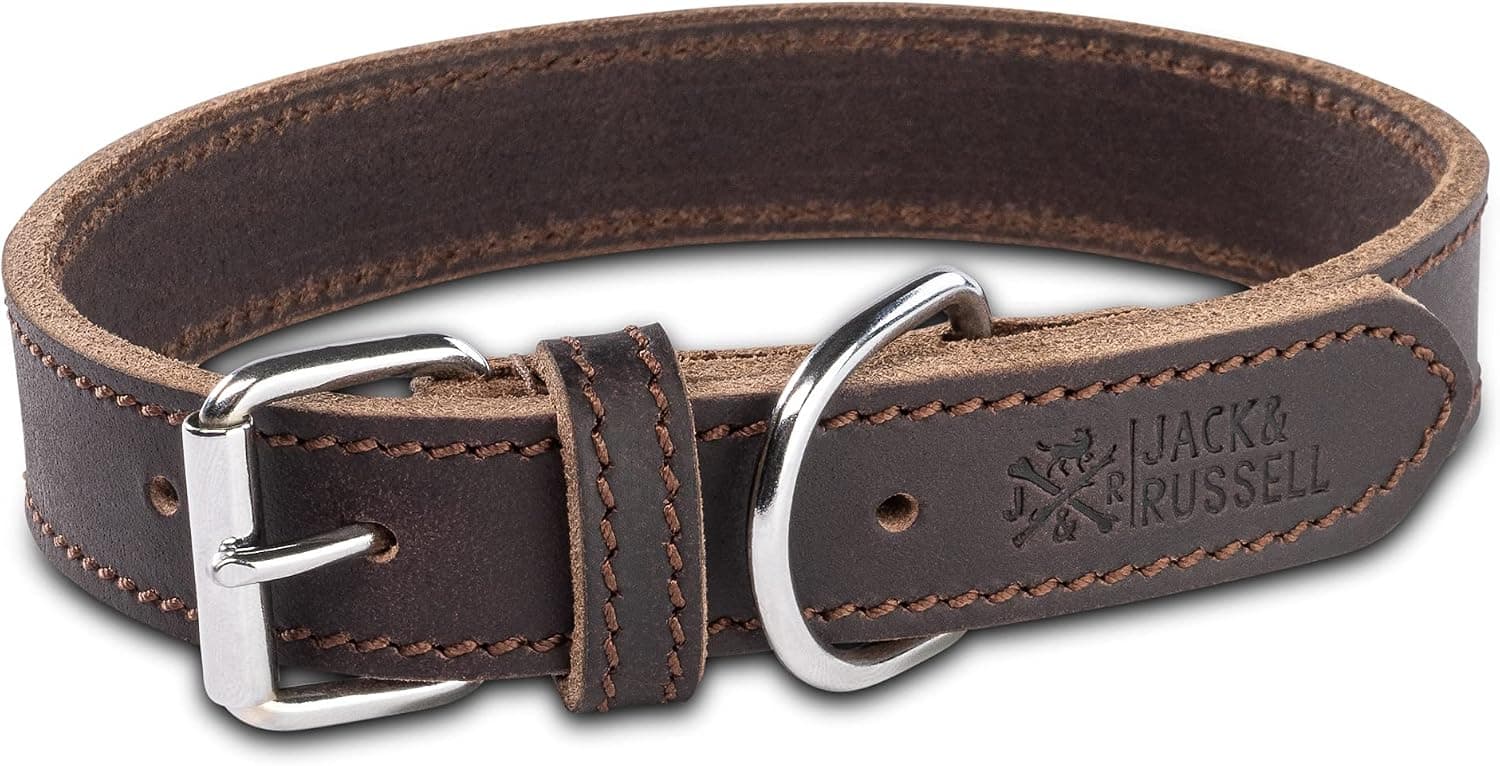 Jack & Russell Collar de perro de cuero engrasado – Collar para perro hecho a mano – Collar de cuero resistente para perros pequeños, medianos y grandes, tono gordo (L)