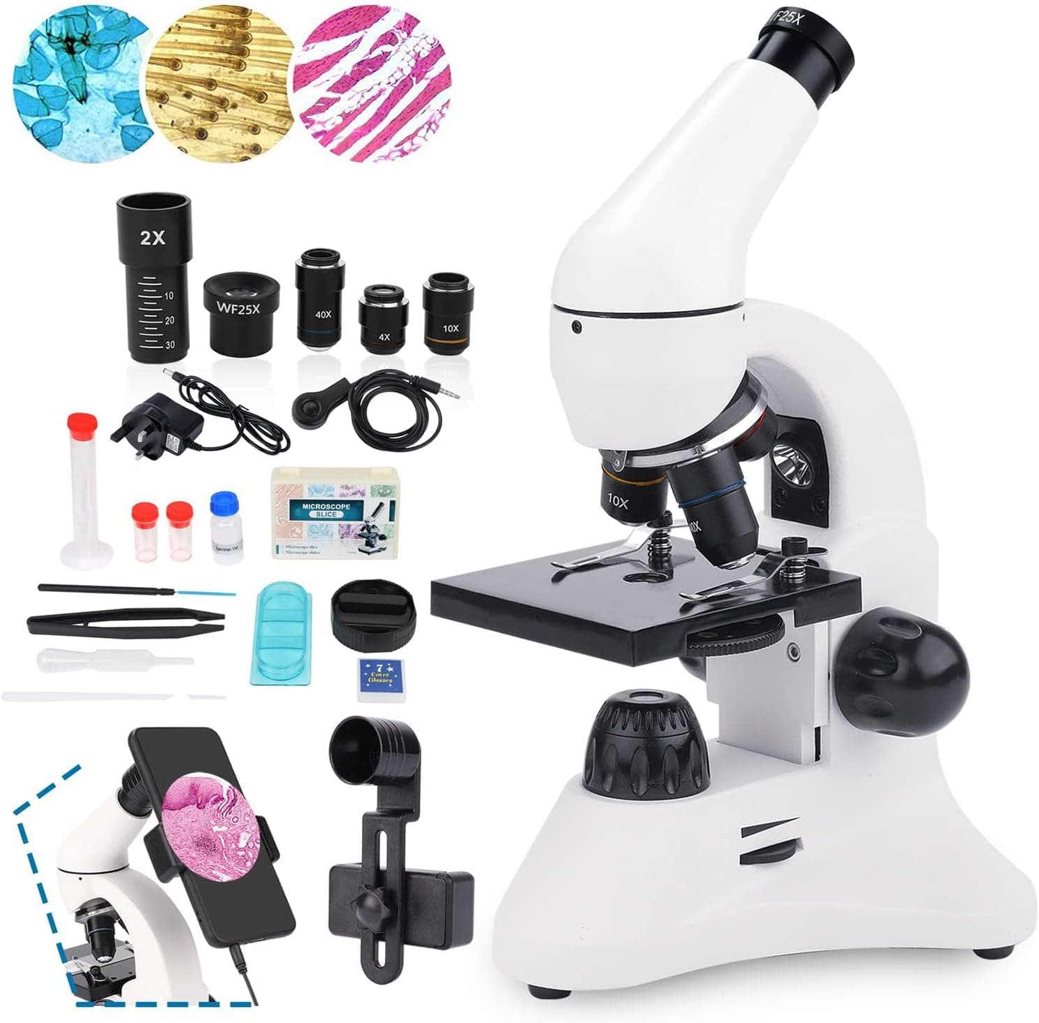 USCAMEL Microscopio 40X-2000X LED Dual Lentes de Vidrio Óptico Microscopios Monoculares de Lab para Niños Estudiantes Adultos Colegio Educación en Casa con Diapositivas, Kits de Ciencia