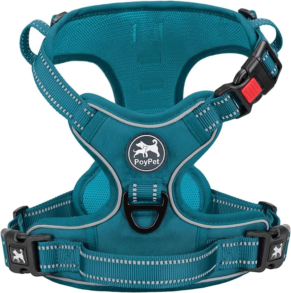 PoyPet - Arnés Reflectante para Perros Sin Ahorcar, Chaleco Ajustable Acolchado Suave para Mascotas con Mango de Control Fácil para Perros Pequeños (Tumalo Teal, S)
