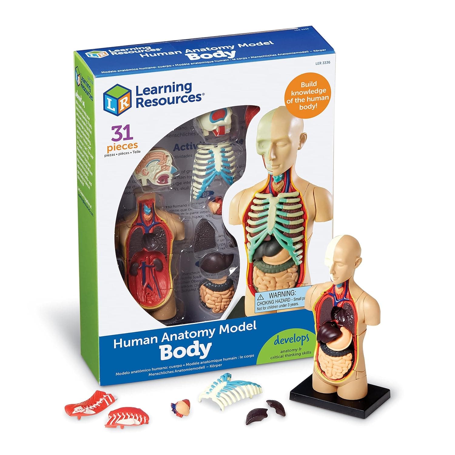 Learning Resources Modelo Anatómico Cuerpo Humano, Ages 8+, Maqueta de Anatomía Infantil con 31 Piezas, Aprendizaje Práctico sobre Órganos y Sistemas del Cuerpo, Incluye Guía Educativa y Soporte