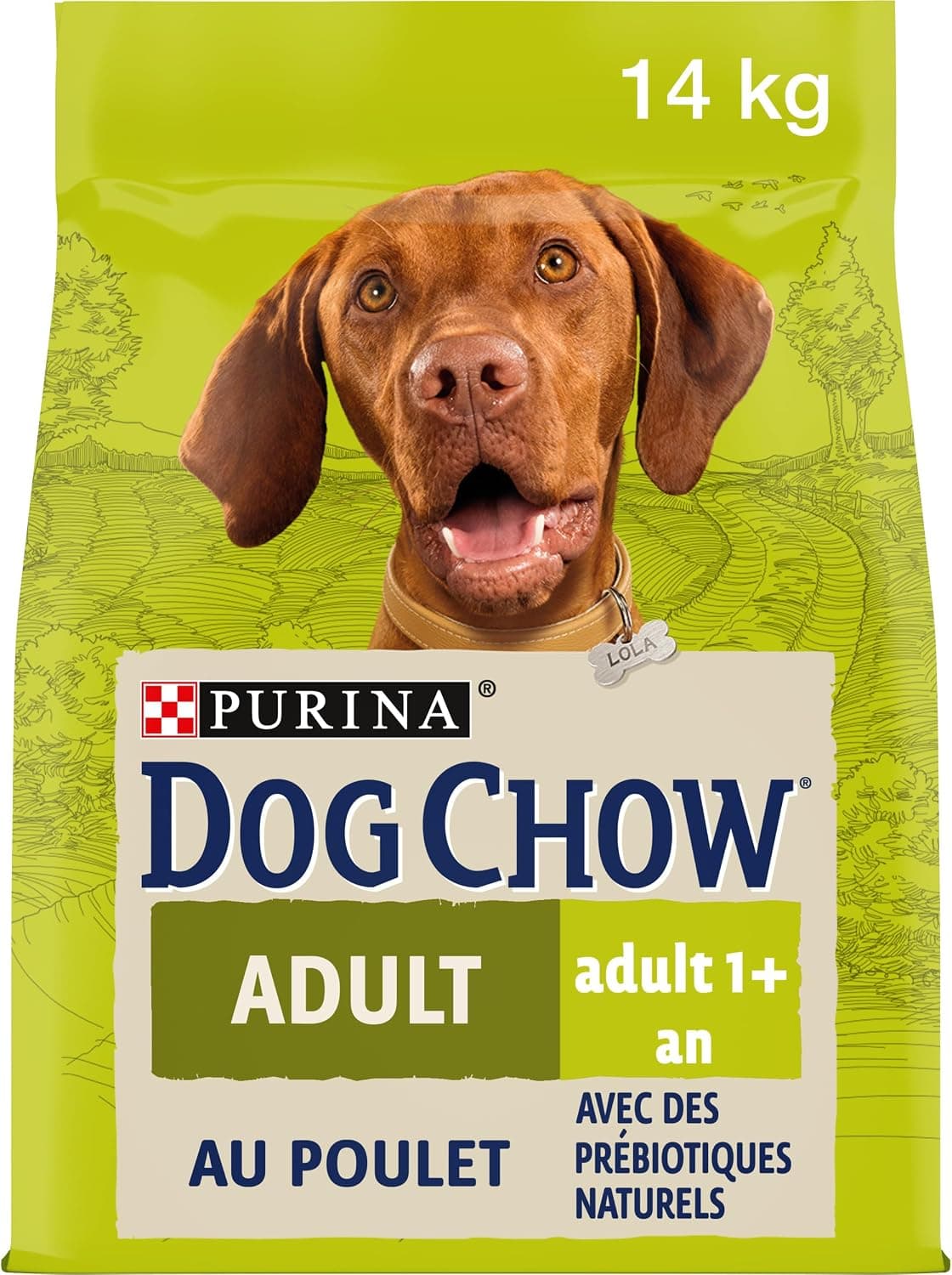 Dog Chow Pienso pienso perro 14 kg