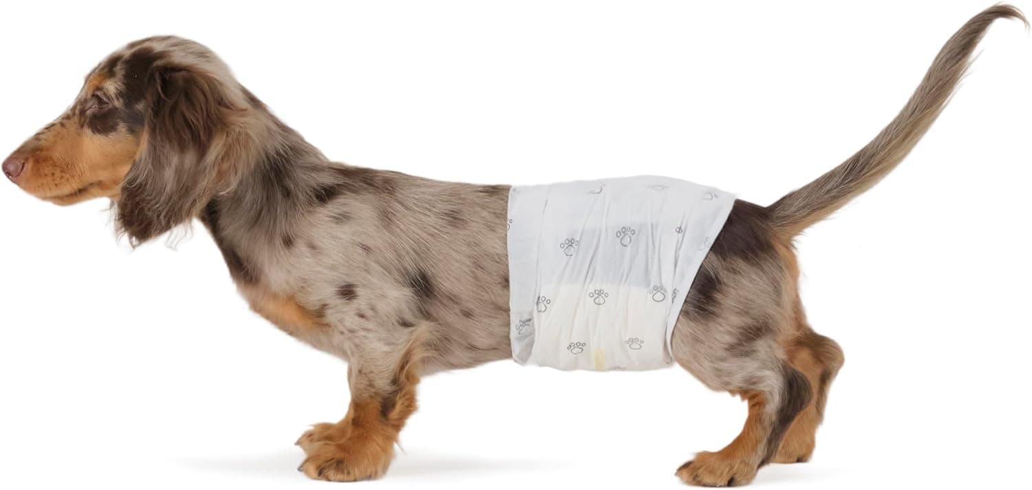 Amazon Basics Pañales Desechables para Perros Macho, S, Paquete de 30, Color Blanco