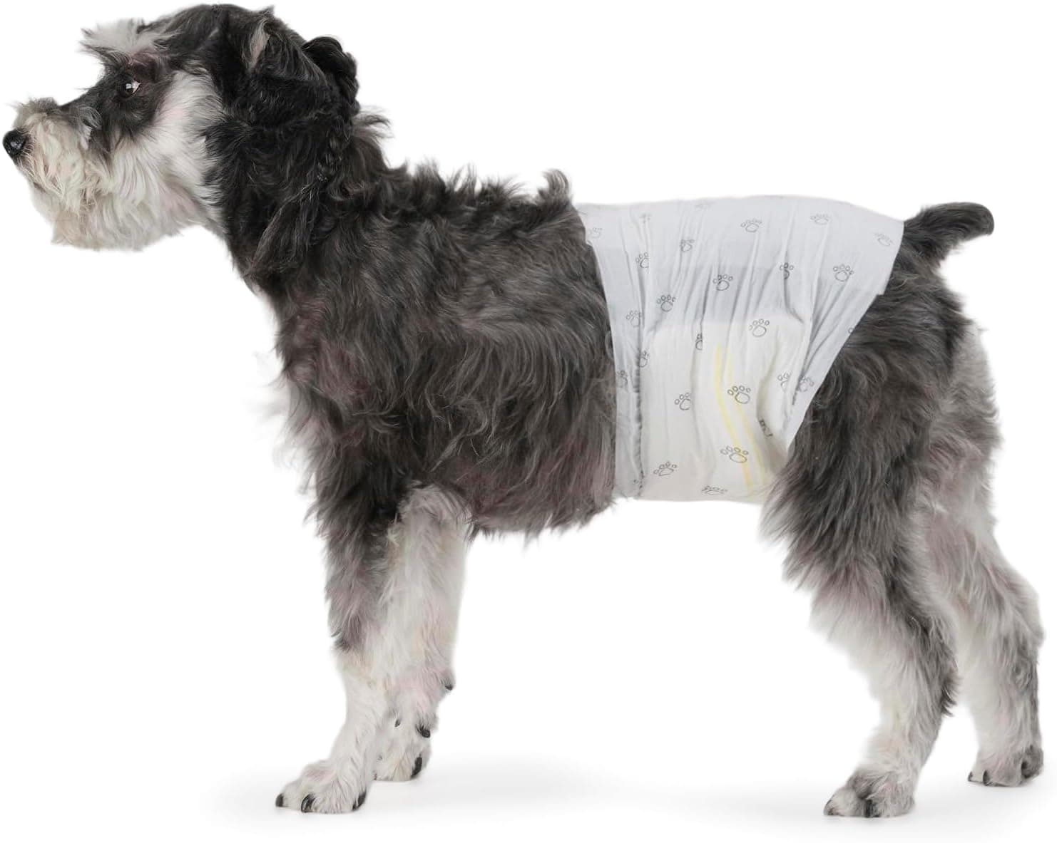 Amazon Basics Pañales Desechables para Perros Macho, M, Paquete de 50, Color Blanco