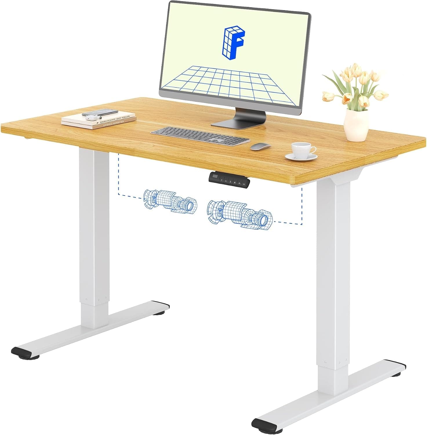 FLEXISPOT Escritorio Elevable Eléctrico 120x60 Doble Motor, Tablero Entero