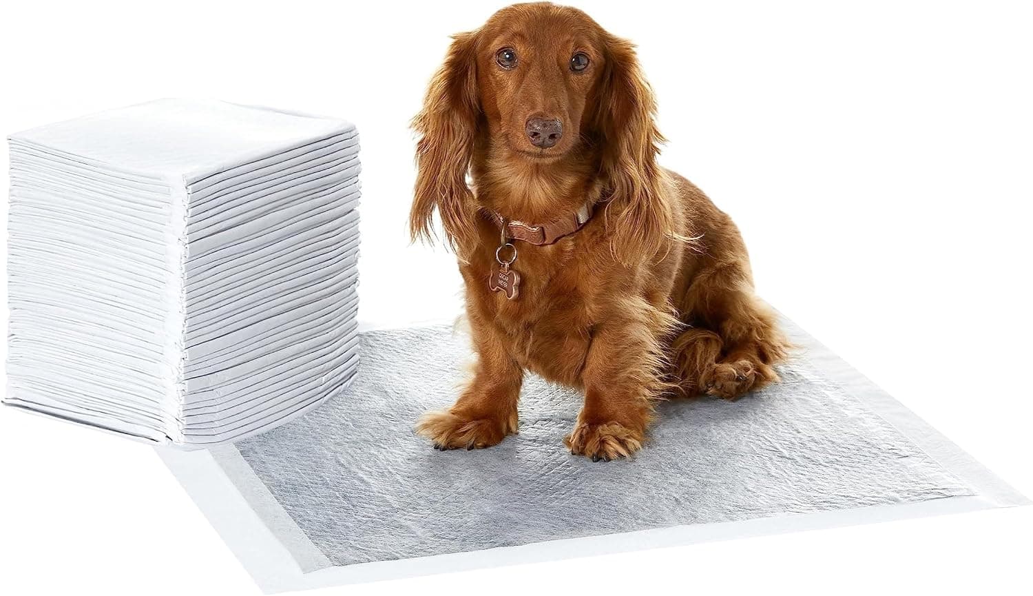 Amazon Basics Almohadillas de adiestramiento de perros y cachorros, carbón para control de olor, a prueba de fugas con superficie de secado rápido, Normal (40 unidades), Gris