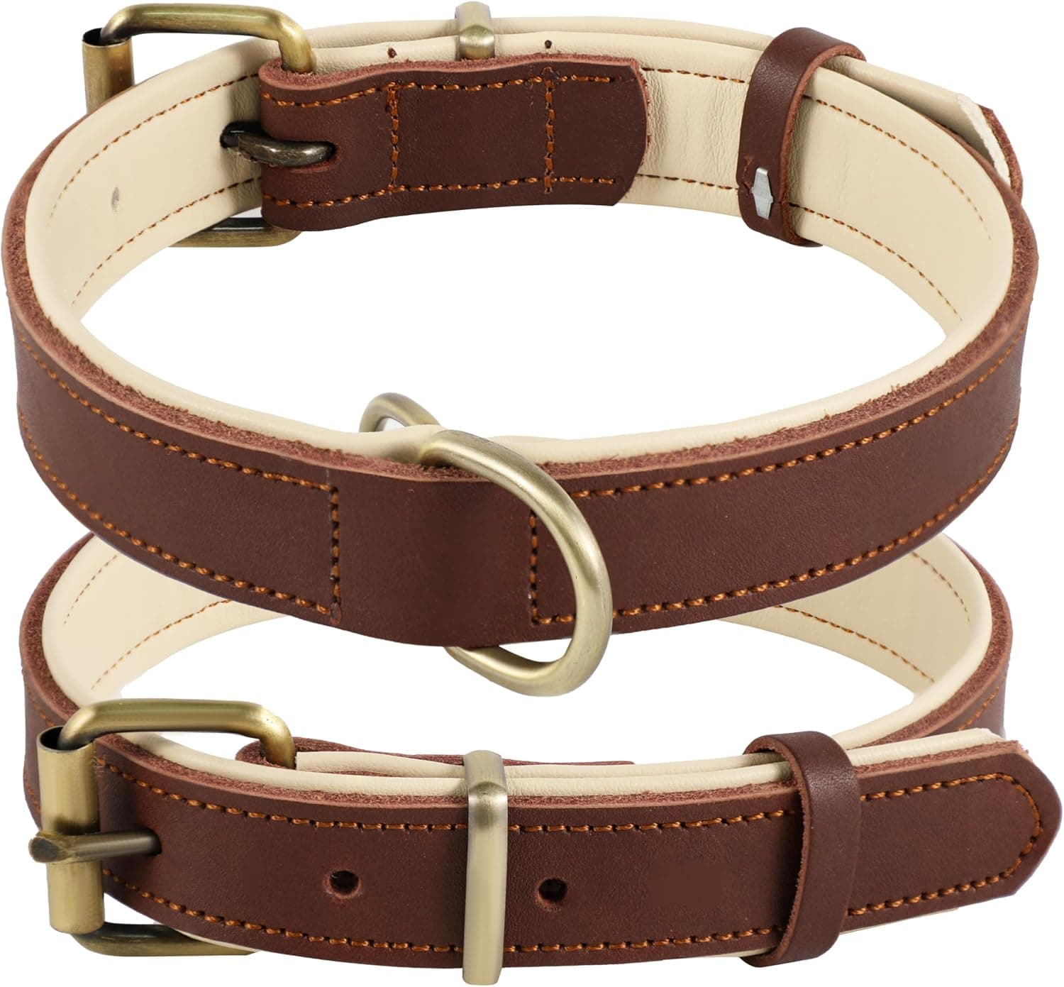 Collar de Cuero Genuino para Perro, Varios tamaños y Colores, Resistente, cómodo, Acolchado Interior Suave con diseño de Color en Contraste, Cinco tamaños Diferentes de 25 a 57 cm